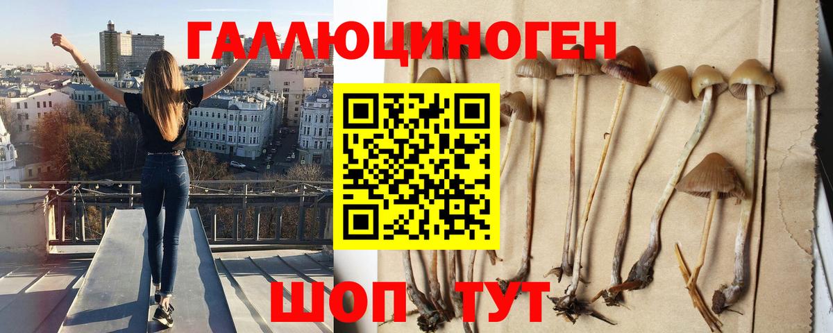 Псилоцибиновые грибы мухоморы Орёл